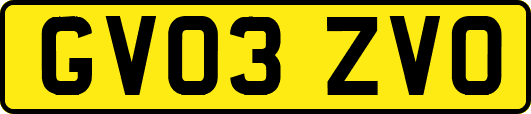 GV03ZVO