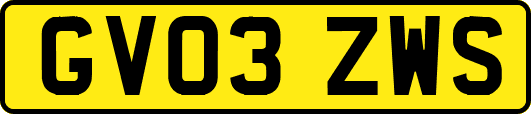GV03ZWS