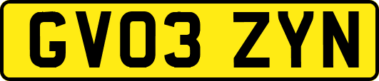 GV03ZYN