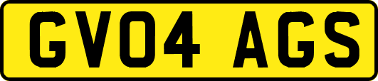 GV04AGS