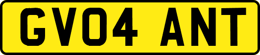 GV04ANT