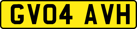 GV04AVH
