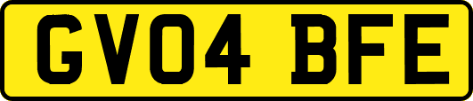 GV04BFE