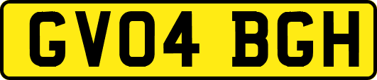 GV04BGH