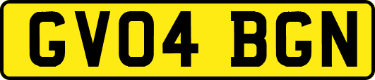 GV04BGN