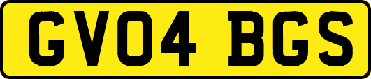 GV04BGS