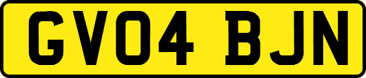 GV04BJN