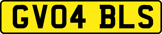 GV04BLS