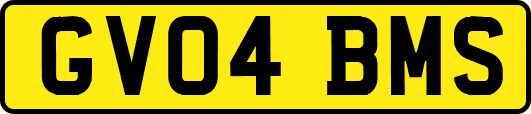 GV04BMS