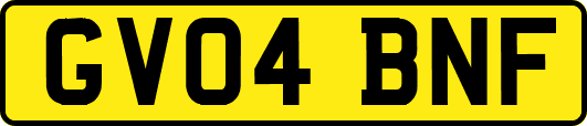 GV04BNF