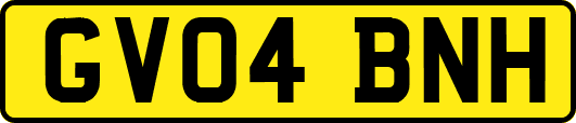 GV04BNH