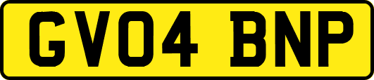 GV04BNP
