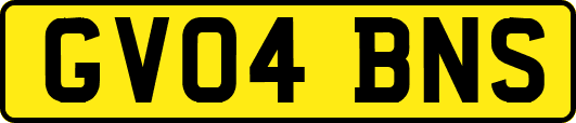 GV04BNS