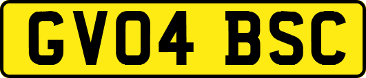 GV04BSC