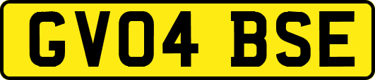 GV04BSE