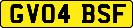 GV04BSF