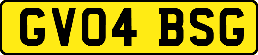 GV04BSG