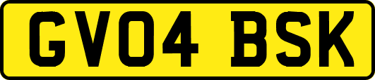 GV04BSK