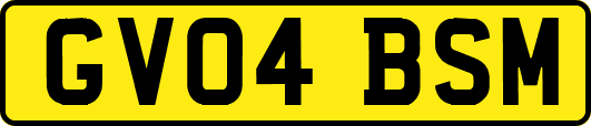 GV04BSM