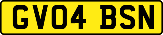 GV04BSN