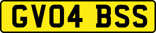 GV04BSS