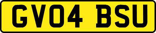 GV04BSU