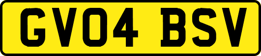 GV04BSV