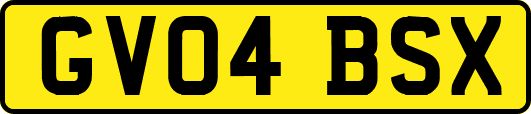 GV04BSX