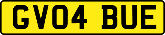 GV04BUE