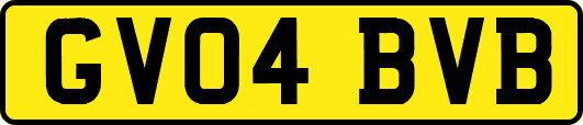 GV04BVB