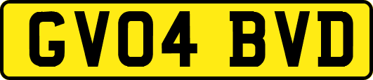 GV04BVD
