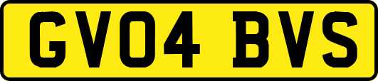 GV04BVS