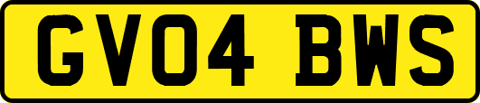 GV04BWS