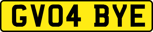 GV04BYE