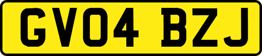 GV04BZJ