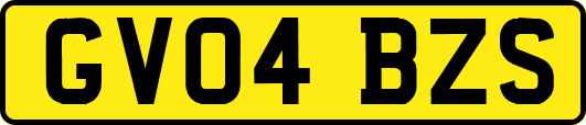 GV04BZS