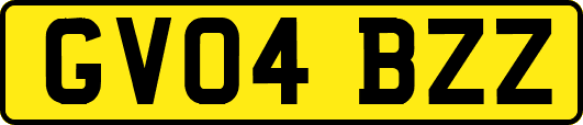 GV04BZZ