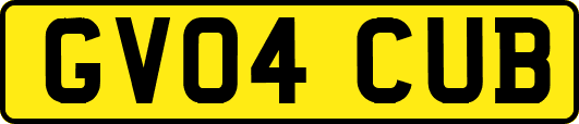 GV04CUB
