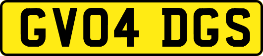 GV04DGS