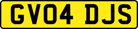 GV04DJS