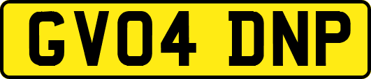 GV04DNP
