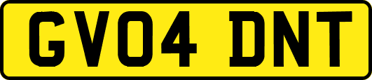 GV04DNT