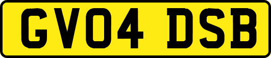 GV04DSB