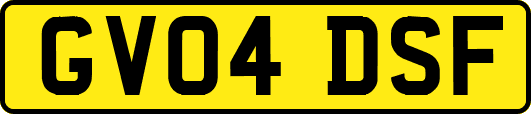 GV04DSF