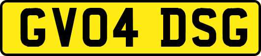 GV04DSG