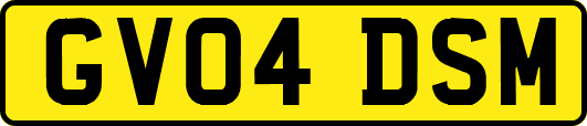 GV04DSM