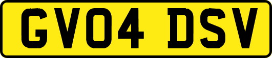 GV04DSV