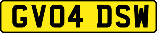 GV04DSW