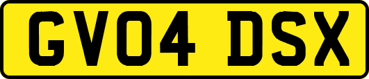 GV04DSX