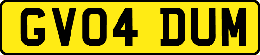 GV04DUM